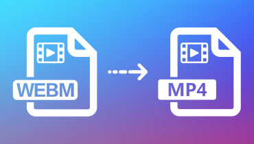 Convertir WEBM en MP4