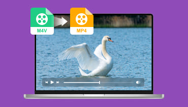 3 façons simples et pratiques de convertir M4V en MP4 sur PC