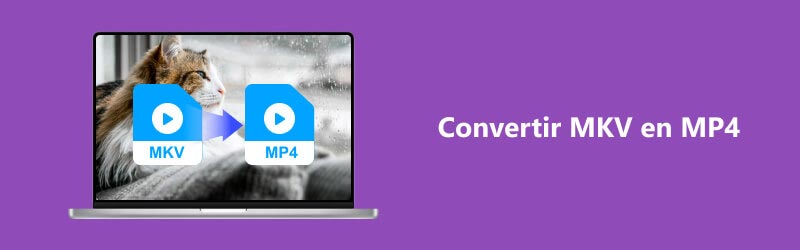 Convertir MKV en MP4