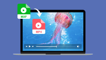 Les 3 meilleures façons de convertir MXF en MP4 hors ligne ou en ligne