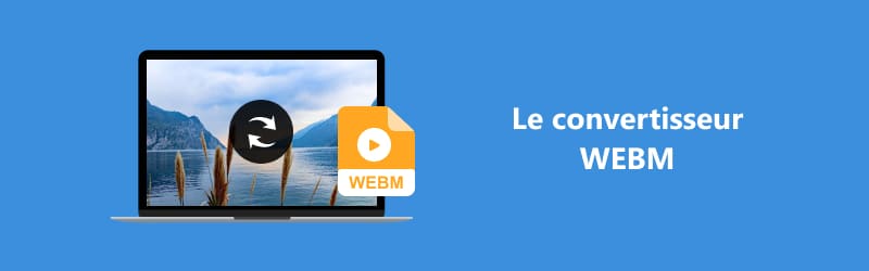 Les convertisseurs WebM