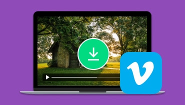 Comment télécharger la vidéo Vimeo gratuitement en ligne ou hors ligne