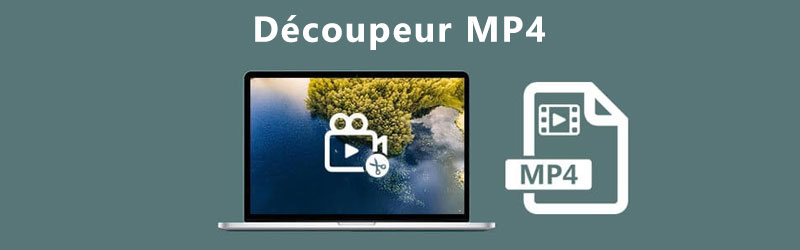 Découpeur MP4