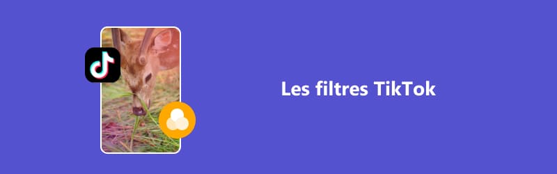 Le filtre TikTok