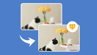 Comment améliorer la qualité d'image sur PC et Mobile en ou hors ligne