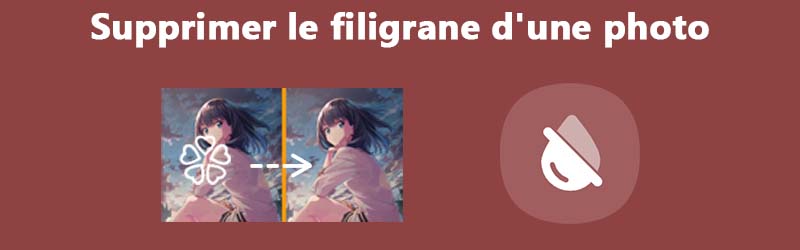 Supprimer le filigrane de photo