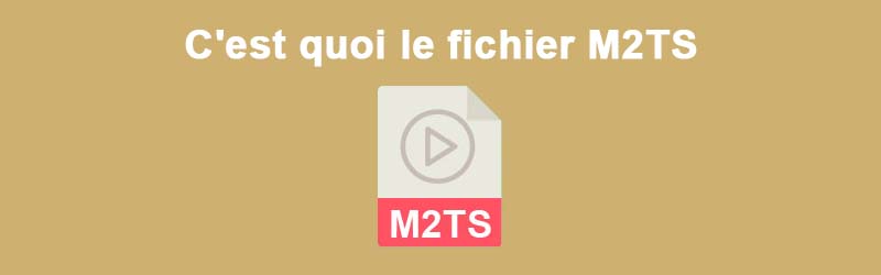 Le format vidéo M2TS