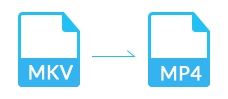 MKV en MP4