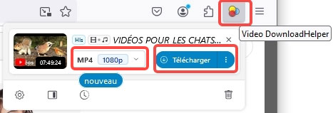 Télécharger la vidéo