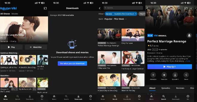 Télécharger des vidéos Viki directement sur l'application Viki